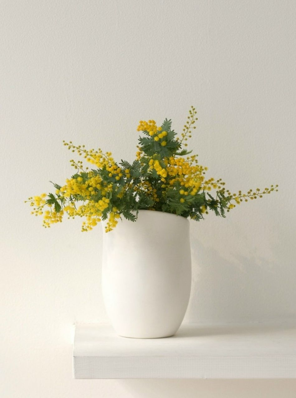 Ефросинья Колосик | Ковров