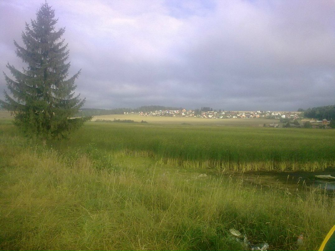 Дмитрий Опарин | Пермь