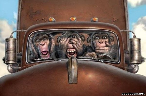 Вова Котовщиков | 