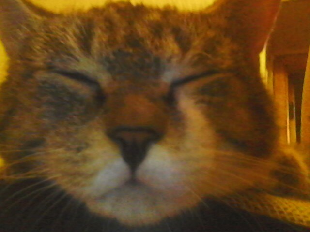 Антон Серов | Краснотурьинск