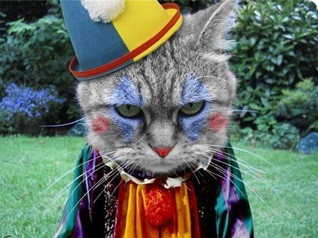 Evgenia Ivanova ●•∙ | Краснодар