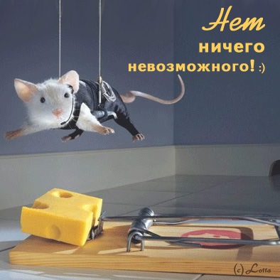 №66, Анютка Баринова, Тольятти №66, Анютка Баринова, Тольятти