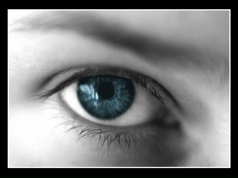 №4, Света Корж, 38 лет, Лозовая №4, Света Корж, 38 лет, Лозовая