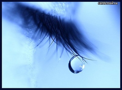 №120, Света Исмаилова, Белгород №120, Света Исмаилова, Белгород