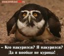 Фотография Van Vitkovskiy