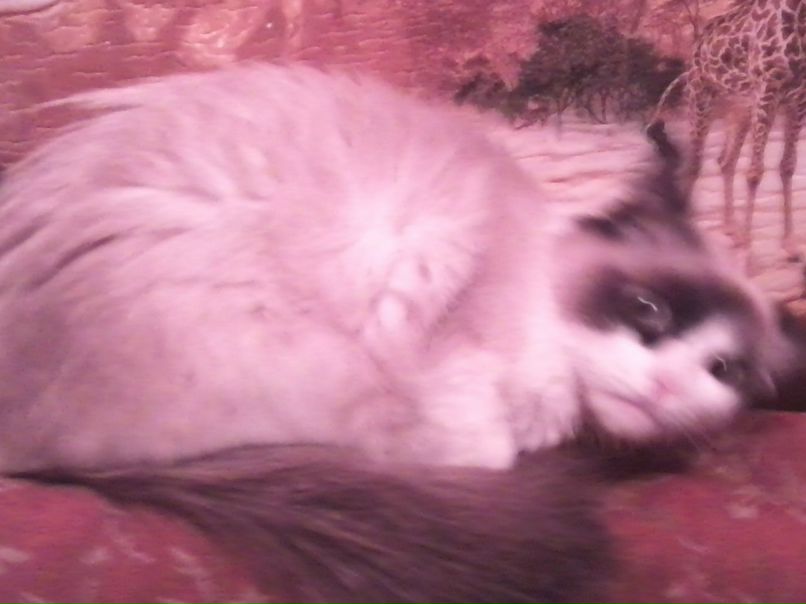 Юлия Кокорева | Тверь