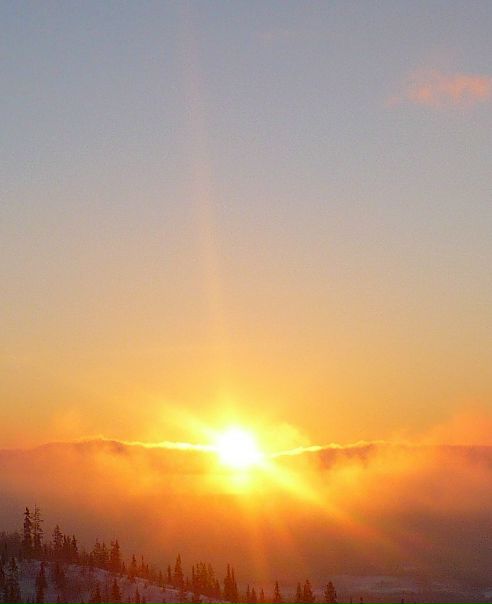 №50, Илья Балымов №50, Илья Балымов