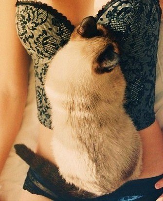 Галина Бармина | Москва