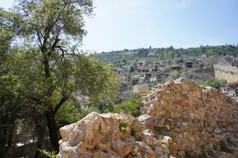 Елена Миронец Васильевна | Краснодар