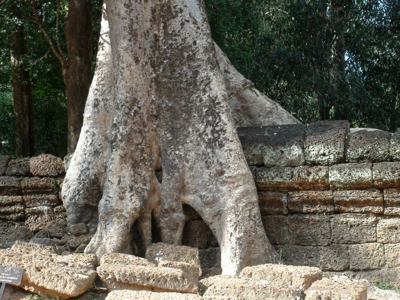 Константин Добычин | Ангарск