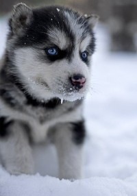 №68, Nikita Suvorov, 34 года №68, Nikita Suvorov, 34 года