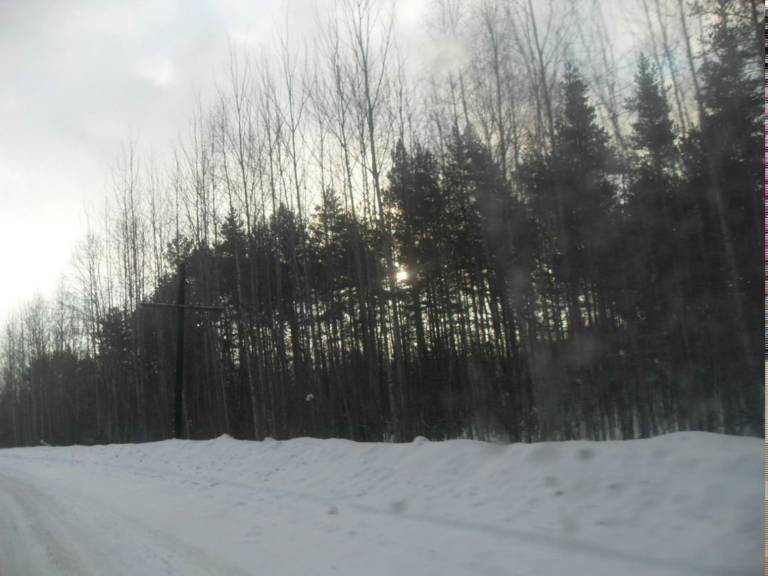 Александр Пушной | 