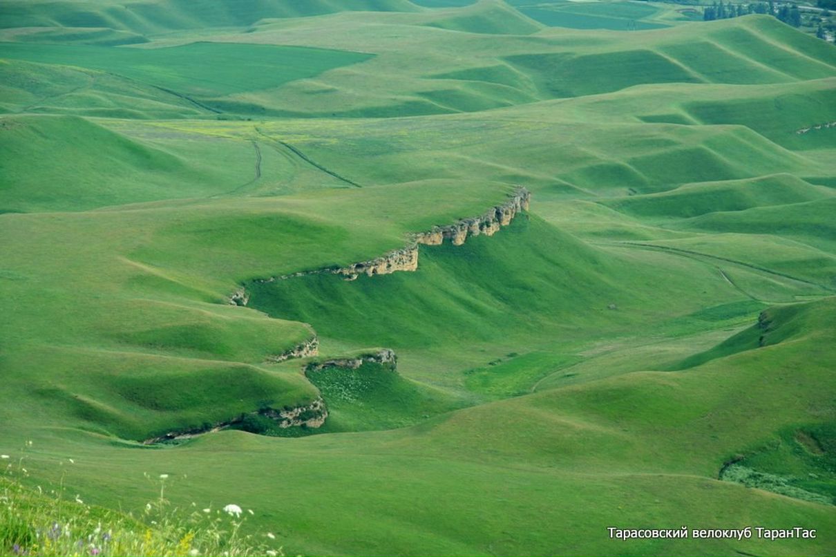 Михаил Пиманов | Мытищи