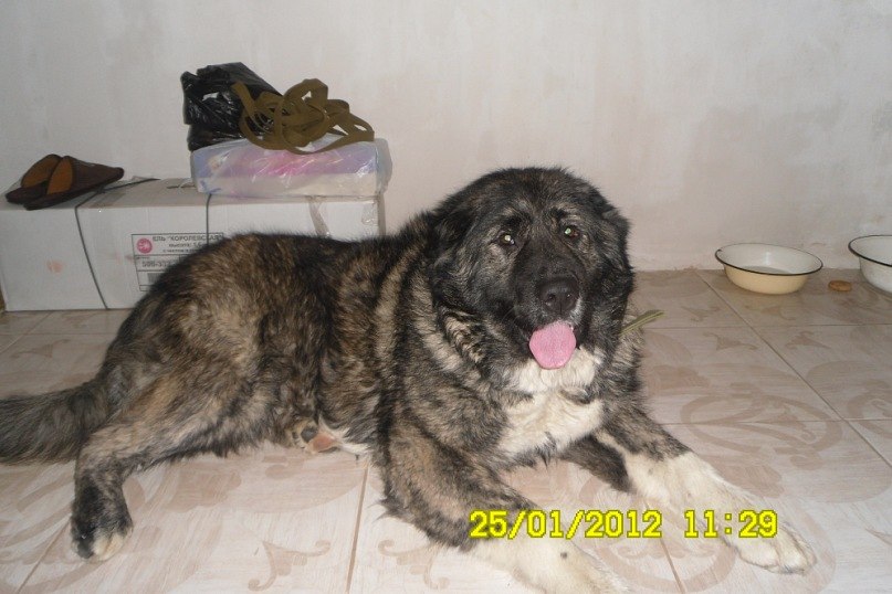 Оксана Горшкова | Астрахань