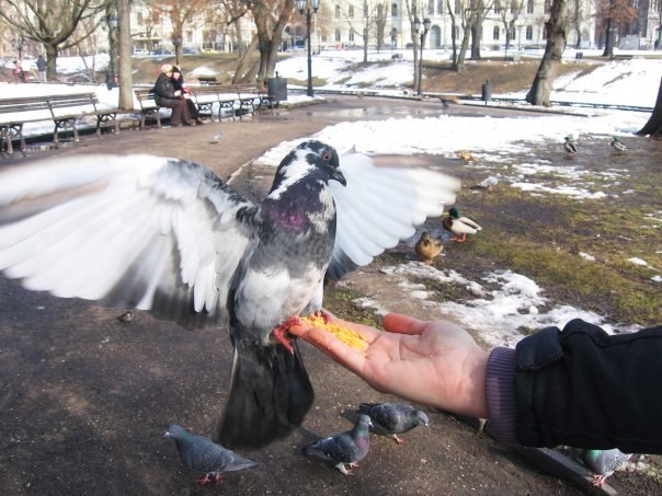 Кристина Смирнова | Тольятти