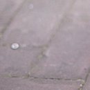 №89, Катя Чех №89, Катя Чех