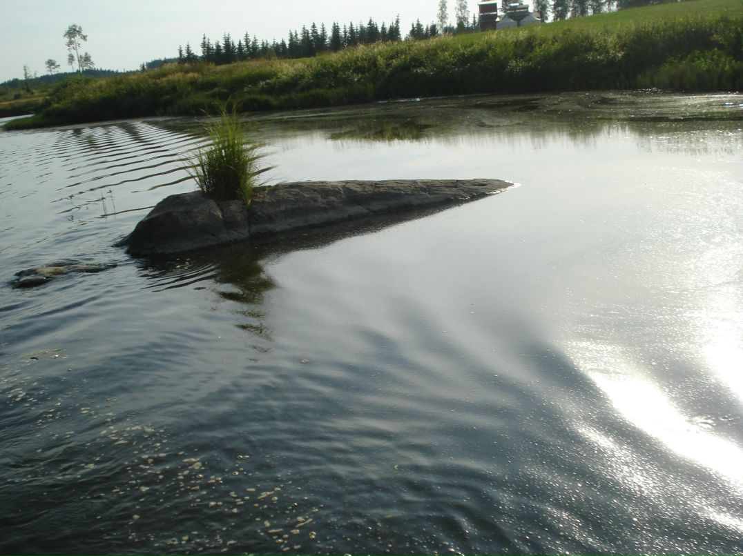 Татьяна Коломейцева | Санкт-Петербург