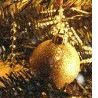 №20, Анна Загребельна №20, Анна Загребельна