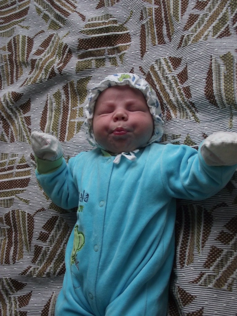 Анна Хведевич | Городок