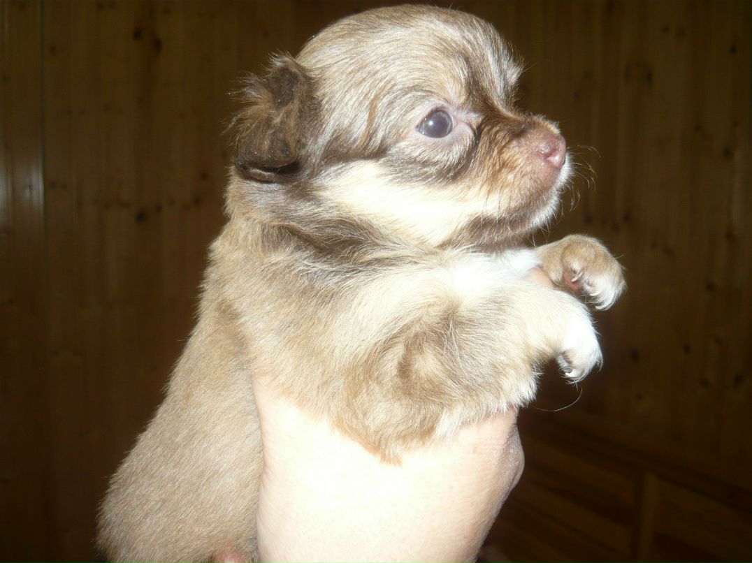 Максим Иванов | Санкт-Петербург