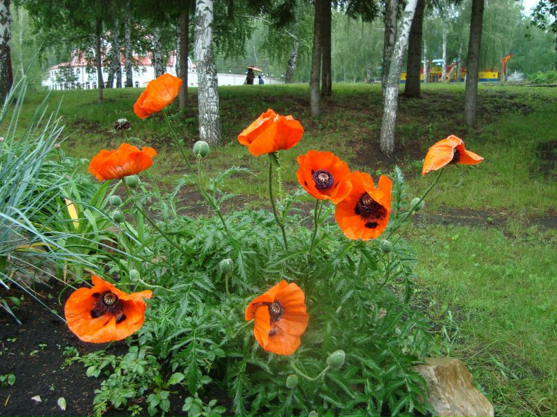 Татьяна Подоксенова | Уфа