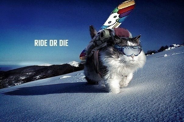 Генералиссимус Петров | Киев