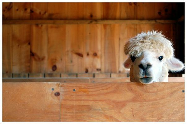 №56, Ольга Тарасова, Москва №56, Ольга Тарасова, Москва