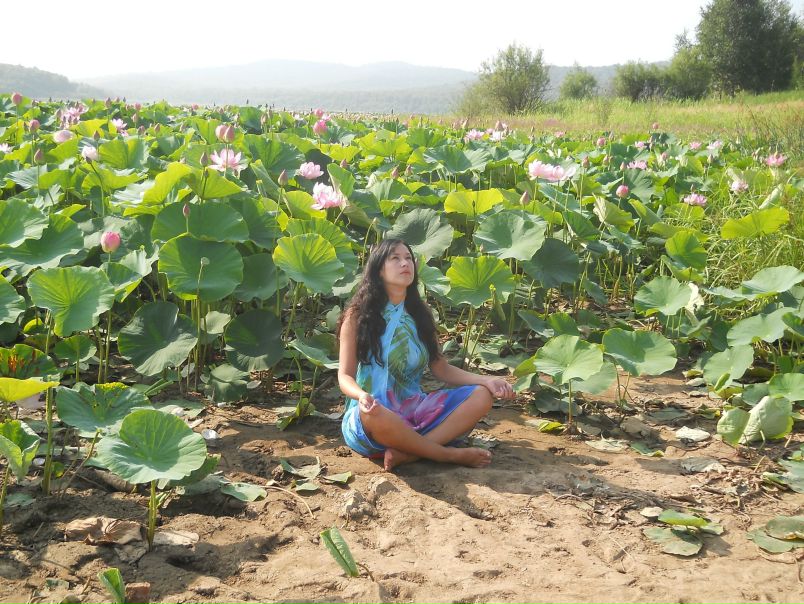 №136, Елена Панаиоти №136, Елена Панаиоти