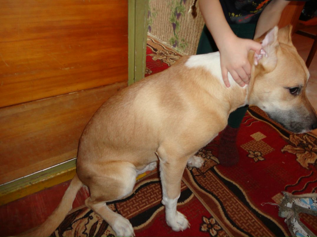 Юра Кобелев | Дивногорск