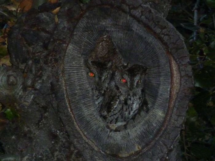 Игорь Савченко ▆ ▅ ▃ ▂[Savec71 ♏ ].ιllιlι. | Тула