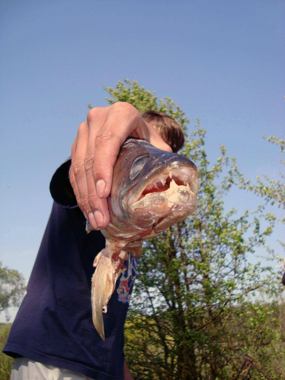 Сергей Борисенко ツ | Киев