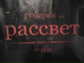 №11 Светлана Львова 12.08.1984: профиль, фото, статус - ВКонтакте