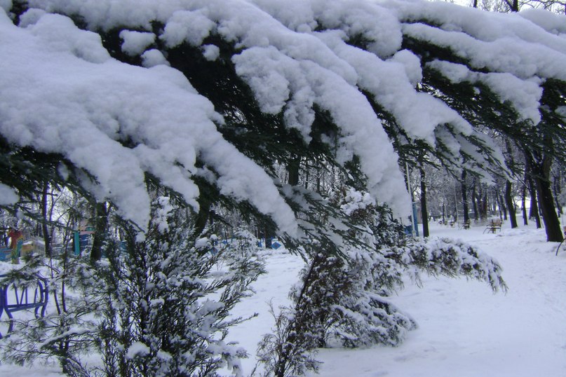 Анастасия Румянцева (Науменко) | Мариуполь