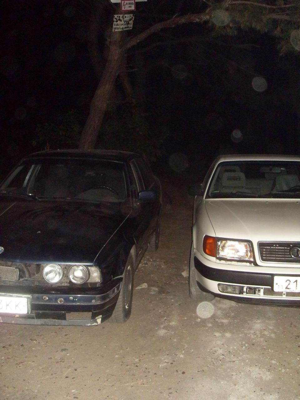 Паша Шестаченко Pavlin--Lord-Belka | Киев