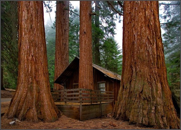 Тоня Федорова ♪ ♫ ♪ | Москва