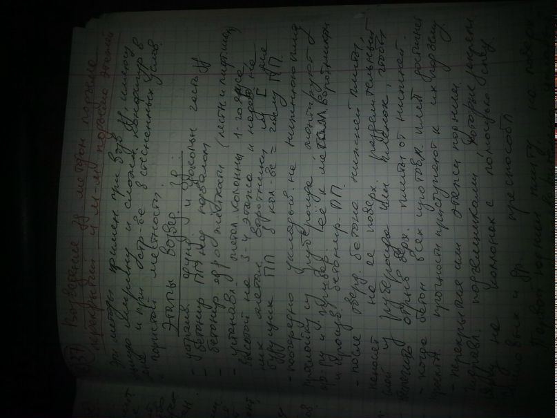 Виктор Петренко | Запорожье