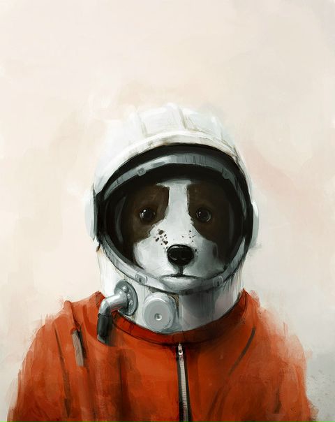 №5, Александр Хомячков №5, Александр Хомячков