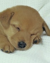 Клим Паталашкин фотография #1