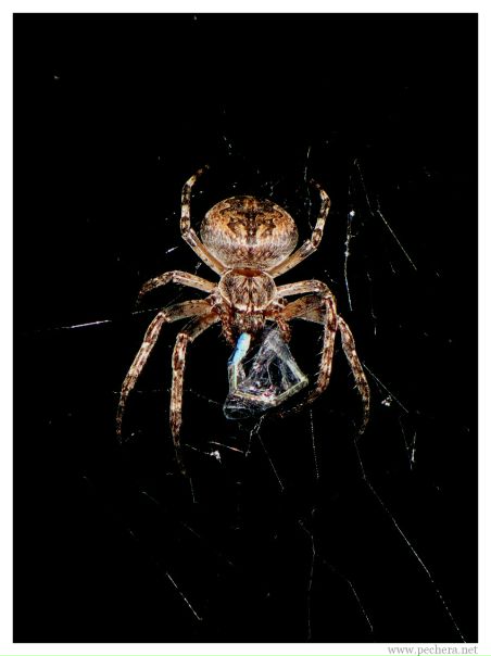 №20, Андрей Сергеев №20, Андрей Сергеев