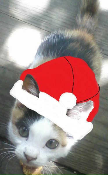 №112, Лиза Квиникадзе, 27 лет, Brno №112, Лиза Квиникадзе, 27 лет, Brno