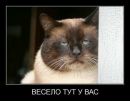 Фотография Константин Прокопенко