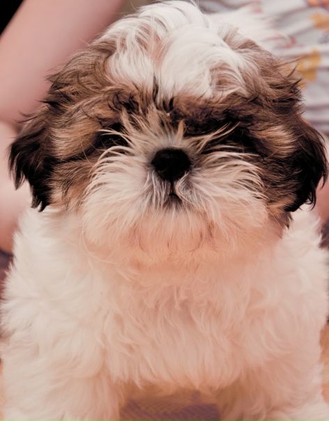 №40, Максим Пилипенко, 34 года, Севастополь №40, Максим Пилипенко, 34 года, Севастополь