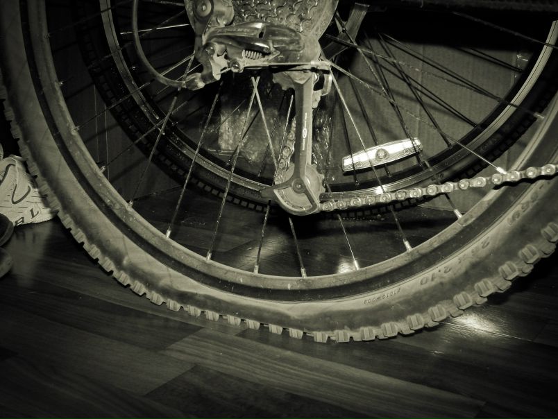 №42, Роман Афанасьев №42, Роман Афанасьев