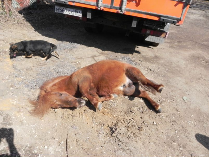 №119, Татьяна Пинчук, 30.04, Москва №119, Татьяна Пинчук, 30.04, Москва