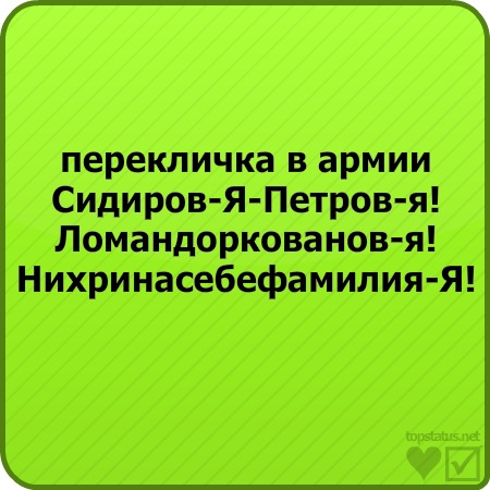 №113, Анастасия Сокирка, Мироновский №113, Анастасия Сокирка, Мироновский