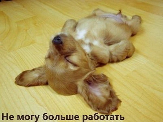 №126, Татьяна Цирульник, Санкт-Петербург №126, Татьяна Цирульник, Санкт-Петербург