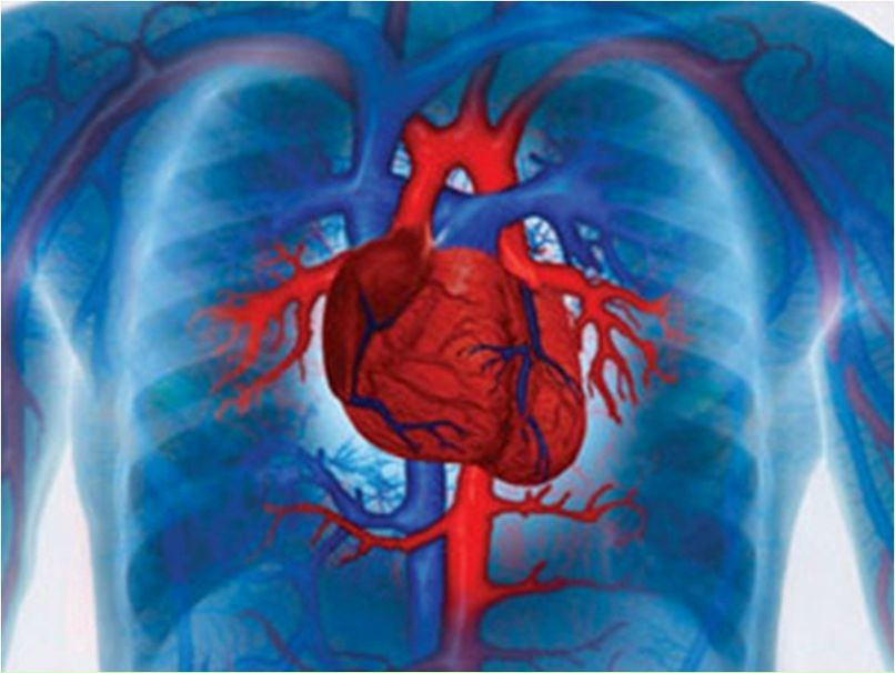 Наталия Кукулевская | Киев