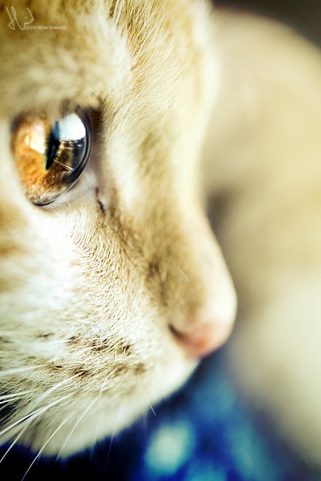 Леонид Виноградов | Симферополь