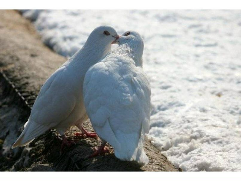 Вика Кокташ | Киев