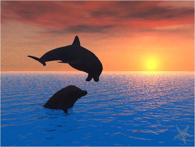 Yulya Zhushman | San Sebastián - Donostia